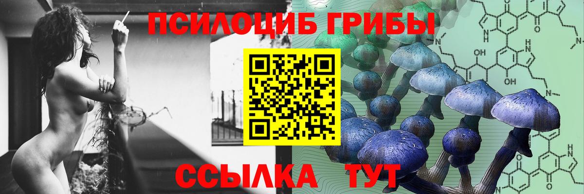 Псилоцибиновые грибы MAGIC MUSHROOMS  Вход с VPN  Галлюциногенные грибы мицелий  Алатырь 