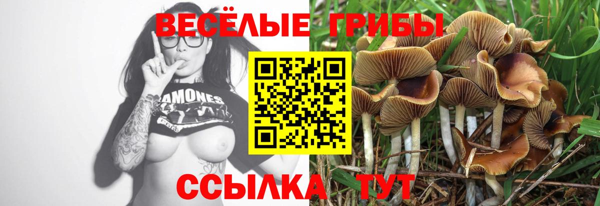 Псилоцибиновые грибы прущие грибы Алатырь