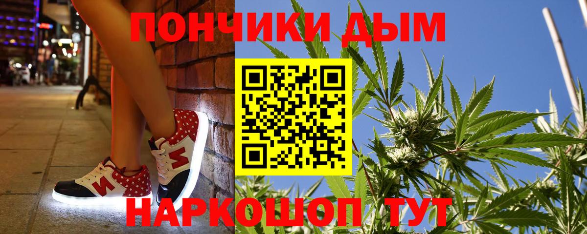 Шишки марихуана план  Вход с VPN  МАРИХУАНА Bruce Banner  Конопля OG Kush  Алатырь 